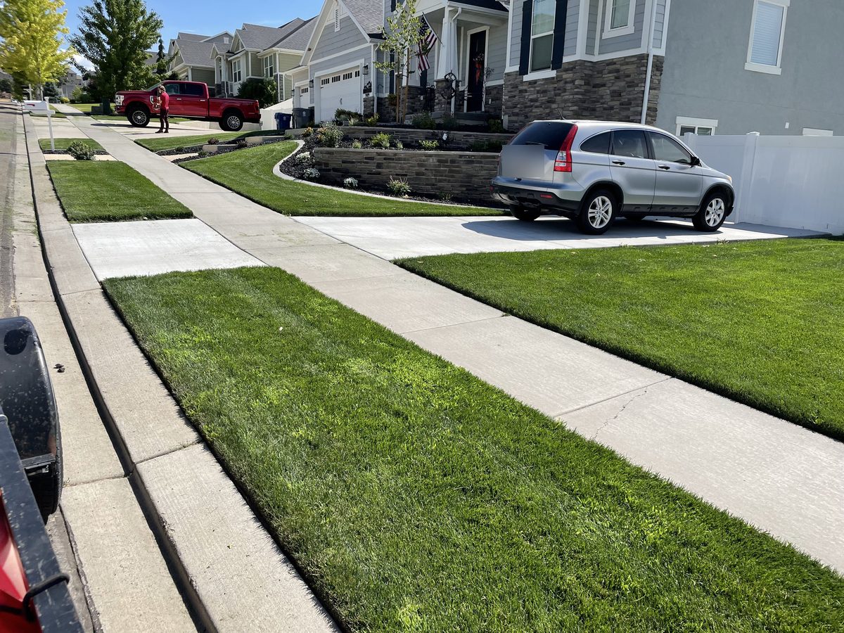 Lawn Legends work