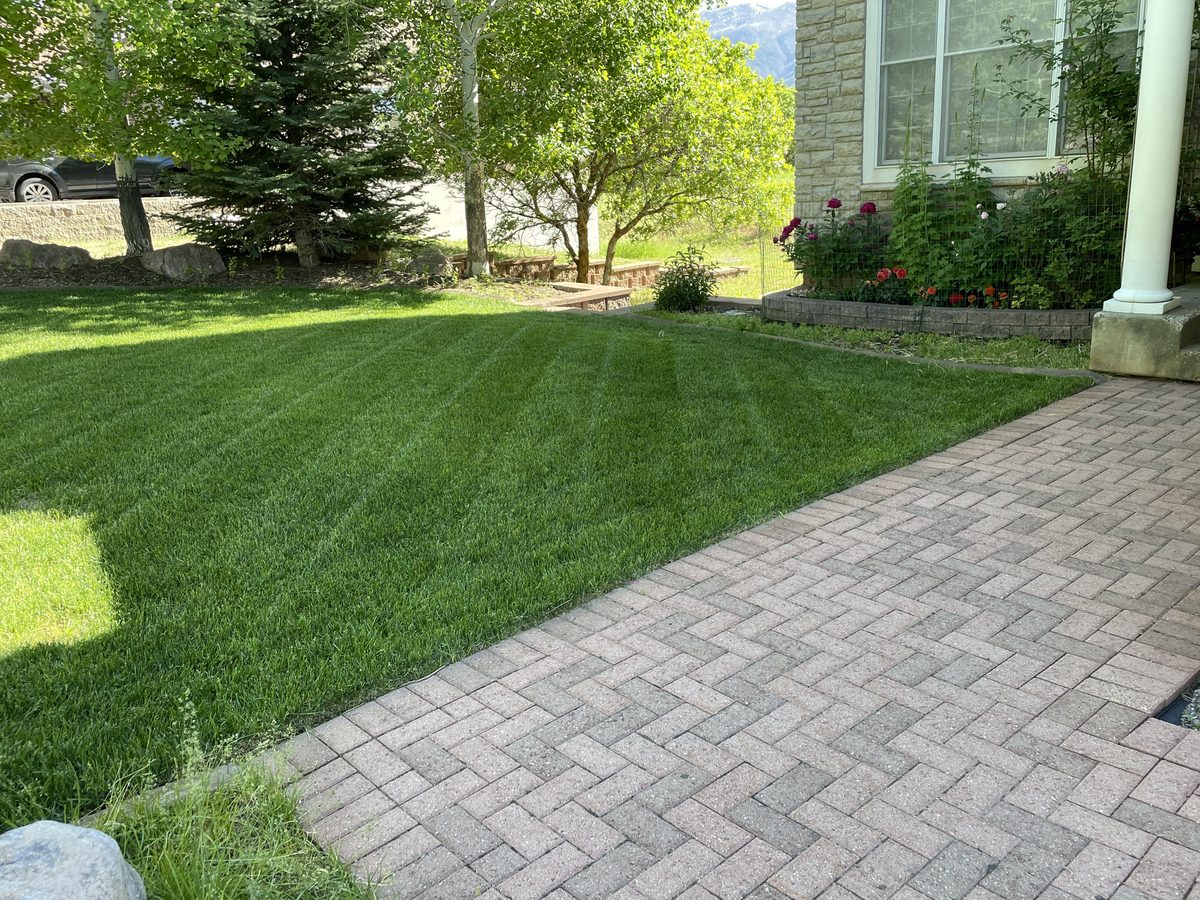 Lawn Legends work